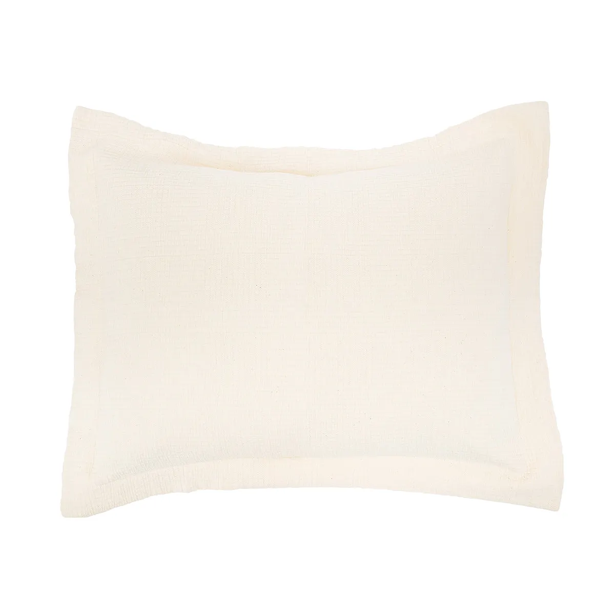 Delfina Standard Sham