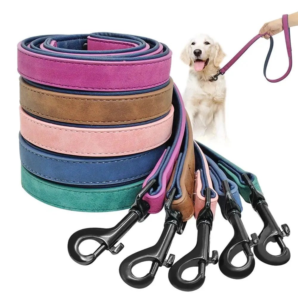 Dog Leather Leash - Set of Stylish Collar