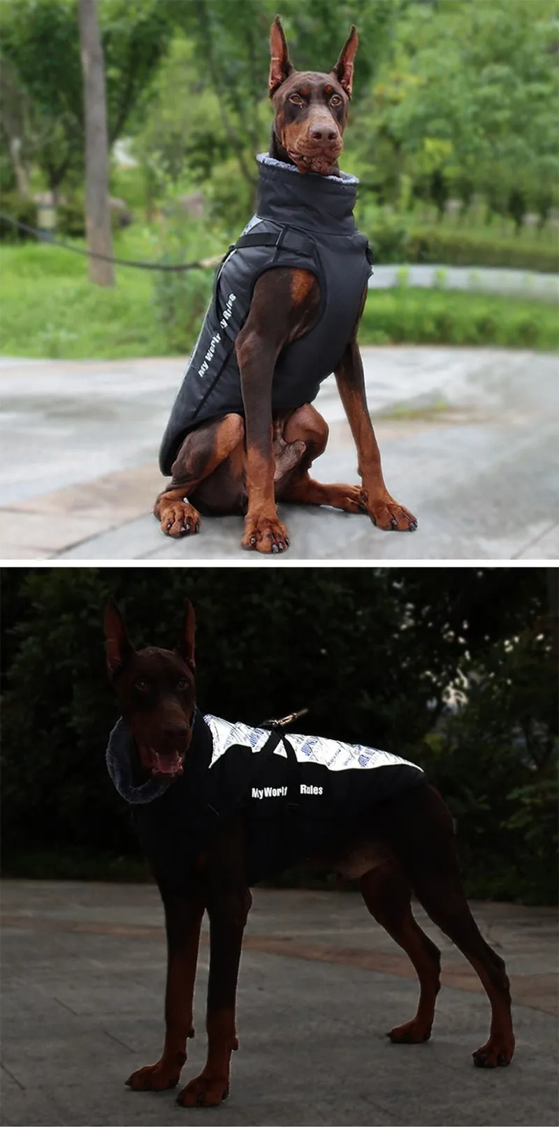 Warm & Waterproof Winter Jacket for Dogs with Built-in Harness