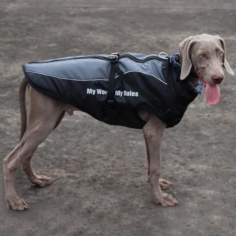 Warm & Waterproof Winter Jacket for Dogs with Built-in Harness